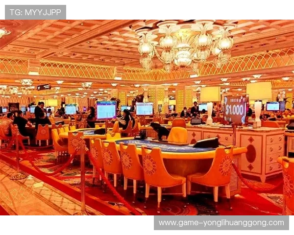 澳门最大的赌场排名揭秘，2024年最受欢迎的十大赌场详细介绍