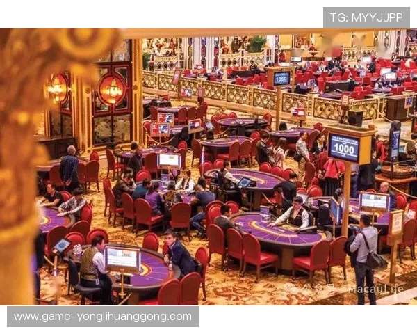 澳门的赌场有几家，哪些是最受游客欢迎的知名赌场介绍